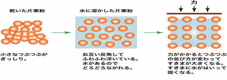 OnePoint